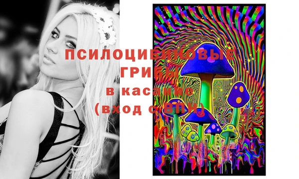 Альфа ПВП Михайловск