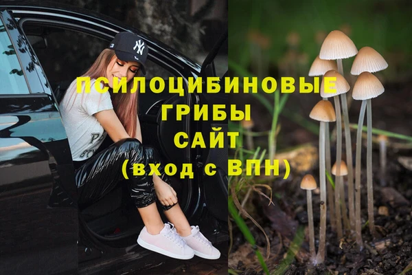 Альфа ПВП Михайловск