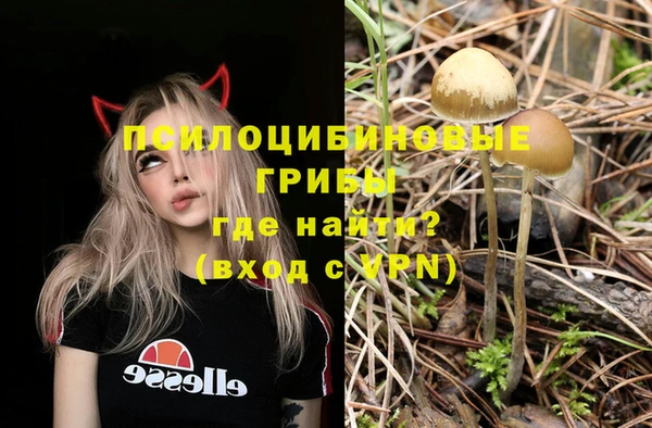винт Михайловка