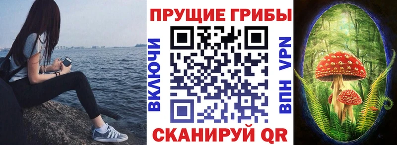 Псилоцибиновые грибы мицелий  где найти наркотики  Воронеж 