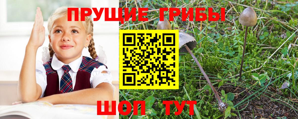 Воронеж  Псилоцибиновые грибы мицелий  Вход с VPN 