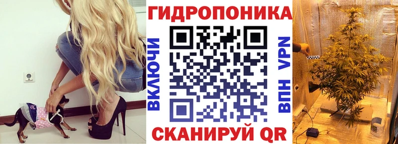 Конопля AK-47  даркнет сайт  Воронеж 